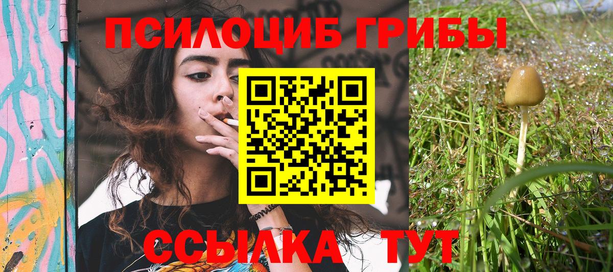 Галлюциногенные грибы прущие грибы  Вход с VPN  Лыткарино 