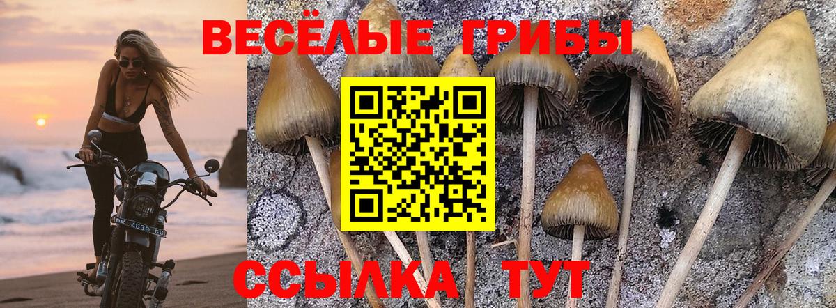 Галлюциногенные грибы мицелий Лыткарино